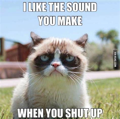 Everyday at work | Funny grumpy cat memes, Grumpy cat humor, Grumpy cat ...