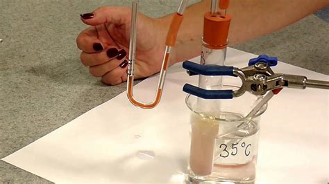 👍 Rate of respiration in yeast experiment. The Effect of Different ...