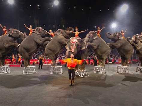 Ringling Bros. circus is gone for good and Ken Hoffman is celebrating ...