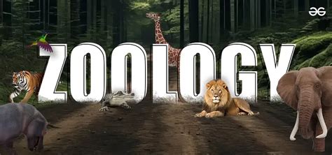 Zoology - Introduction, Branches and Importance of Zoology