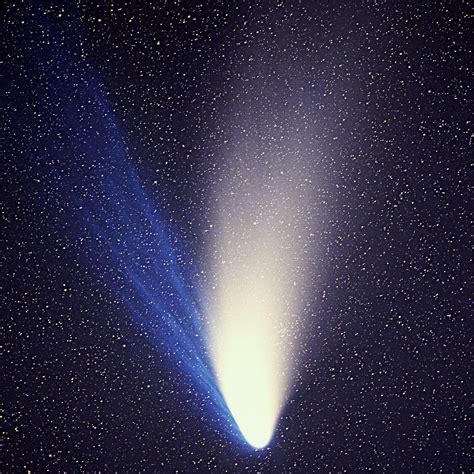 Comet Hale–Bopp - Wikipedia