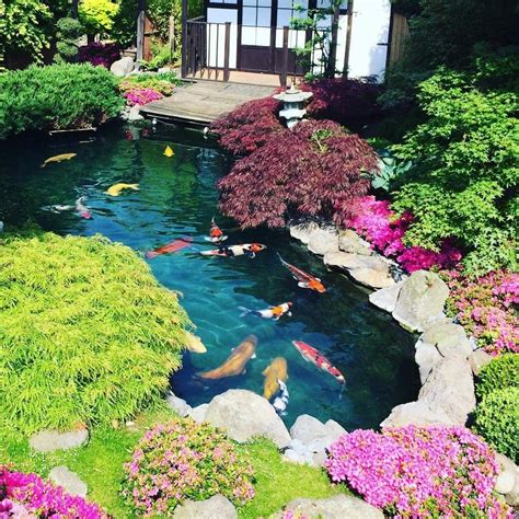 Pin by Varat Mingkhuan on Koi Box | Garden pond design, Japanese garden ...