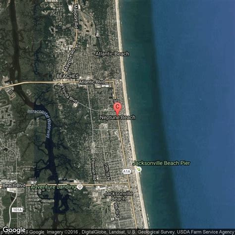 Pet-Friendly Hotels Near Neptune Beach, Florida | USA Today