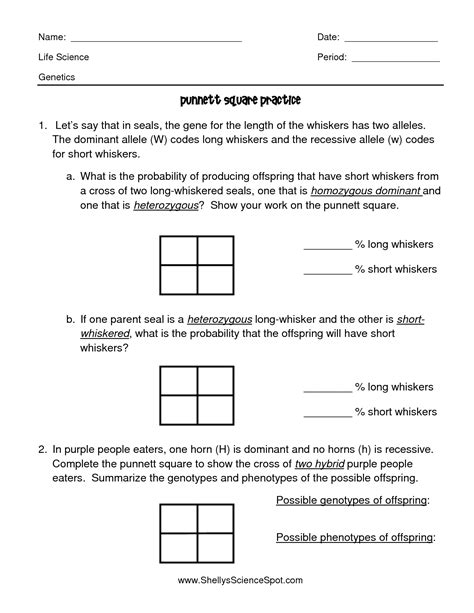 Punnett Square Practice Worksheet Answers Biology - Printable Word Searches