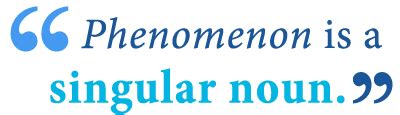 Phenomenon vs. Phenomena – What’s the Difference? - Writing Explained