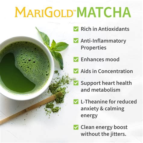 Matcha Green Tea | MariGold Foods