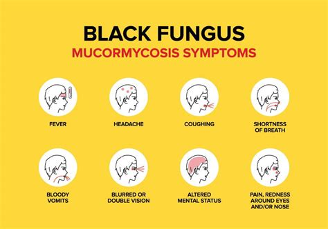 Black Fungus or Mucormycosis - How Can Diabetes Patients Stay Safe ...