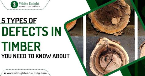 A Closer Look at Types of Defects in Timber