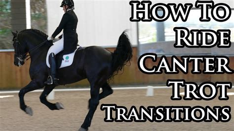 How to do Canter to Trot Transitions (Made Easy) - Your Riding Success ...