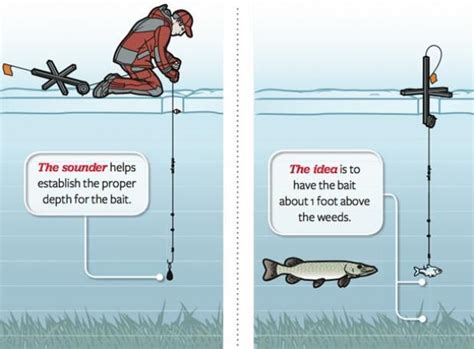 Ice Fishing: Tactics for a Better Tip-Up | Ice fishing tips, Ice ...