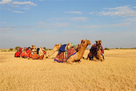 Rann Utsav Tent Festival Booking, Kutch, Gujarat, India - Rann Utsav