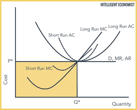 Perfect Competition - Intelligent Economist