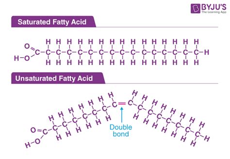 Chemical Makeup Of Fatty Acids - Mugeek Vidalondon