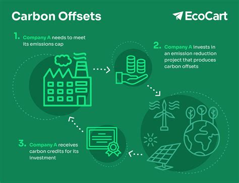 How Do Carbon Offsets Work In Ecommerce? Our Solution