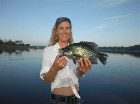 Best 13 Crappie Fishing Lures – Siesta Key Fishing Charters