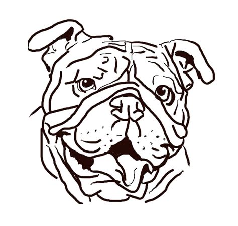 Bulldog Drawing Step By Step | Free download on ClipArtMag