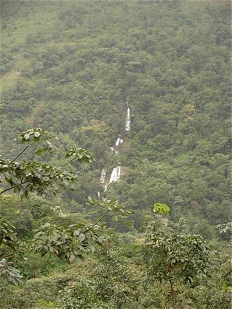 Panayam Ponmudi Waterfalls