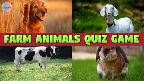 Farm Animals Quiz with Sounds for kids - YouTube