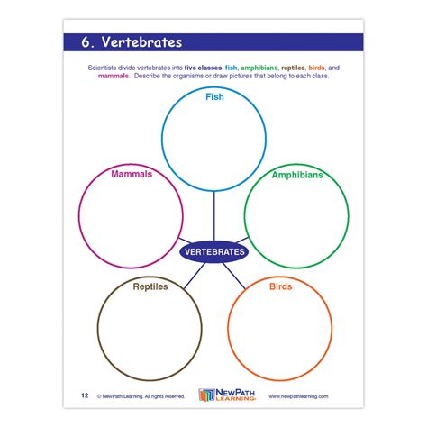 Grade 4 Science Graphic Organizers - Set of 10 - EAI Clearance Outlet ...