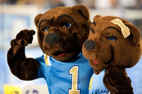 University of California Mascots, Ranked by Dan — Is This a Thing?