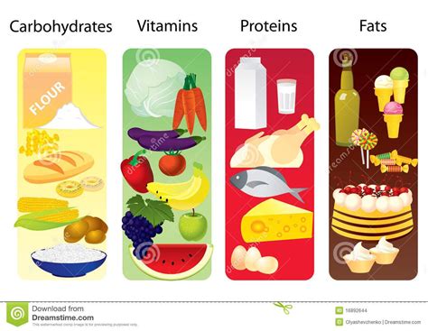 Fat-soluble vitamins are stored in the liver and fat tissue. | Human ...