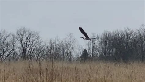 Best Hikes and Trails in Binbrook Conservation Area | AllTrails