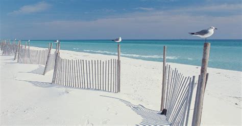 Guide to Beaches in Pensacola FL | VISIT FLORIDA