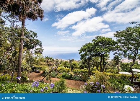 Funchal, Madeira - July, 2018. the Famous Botanical Garden in Funchal ...