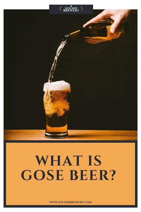 What is Gose Beer? How Do You Pronounce ‘Gose’?