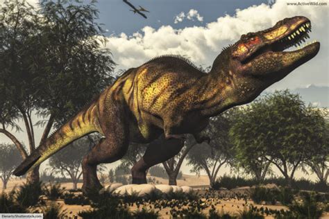 The Cretaceous Period Facts & Info For Kids & Adults: The Ultimate Guide