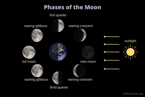 Moon Phases 2022