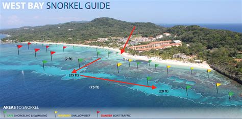 Snorkeling in The West Bay, Roatan, Honduras - UponArriving