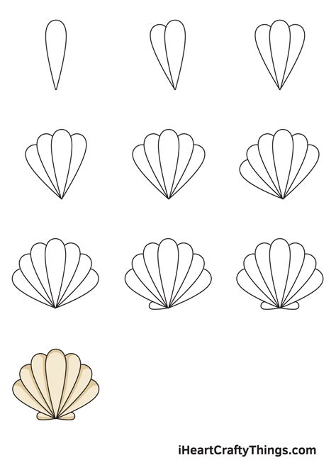 Seashell Drawing - How To Draw A Seashell Step By Step