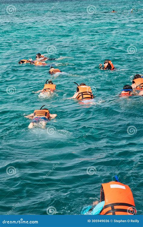 Snorkeling of the Coast of Isla Mujeres Cancun Mexico Stock Photo ...