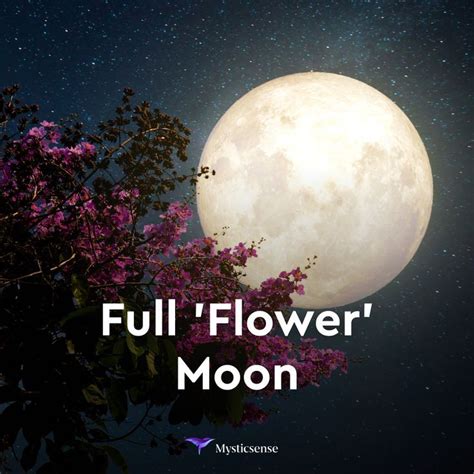 Full 'Flower' Moon | Moon, Lunar eclipse, Flowers