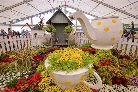 This year's Southport Flower Show has star guests and live ...