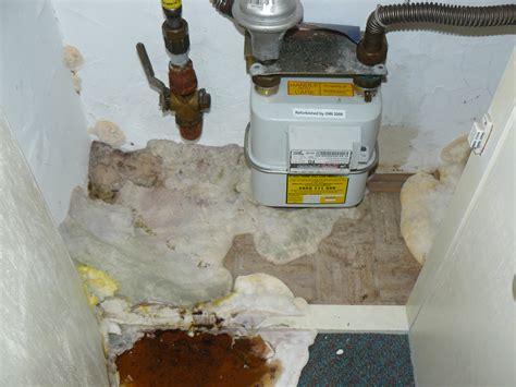 Dry Rot Treatment