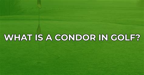 What is a Condor in Golf? (And Known Instances) - Golfah