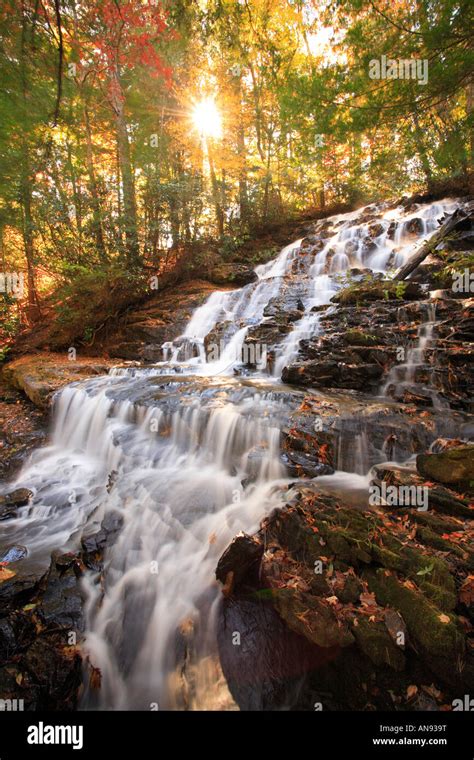 Vogel state park waterfall trail hi-res stock photography and images ...