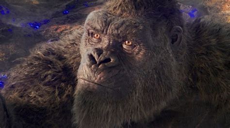 Adam Wingard Thought Of Godzilla Vs. Kong's Hollow Earth As His 'Star ...