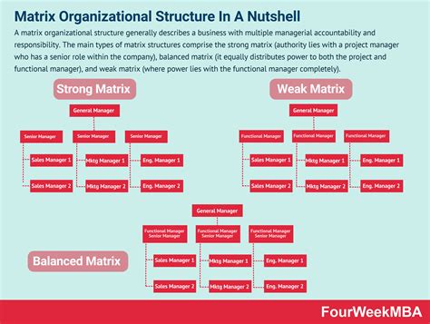 aparţine stoc Biban organizational structure petrol Cand absorbţie