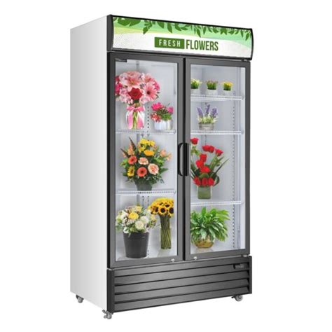 2 Door Flower Display Cooler for Sale; Procool Refrigeration