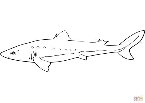 Spiny Dogfish coloring page | Free Printable Coloring Pages