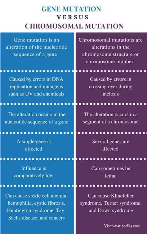 Difference Between Gene Mutation and Chromosomal Mutation | Definition ...