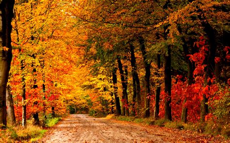 Autumn Farm Scenes Wallpaper | Country roads, Scenic, Country backgrounds