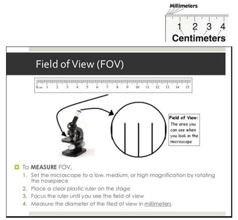 Calculating Field Of View Microscope Worksheet