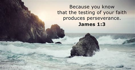 June 26, 2024 - Bible verse of the day - James 1:3 - DailyVerses.net