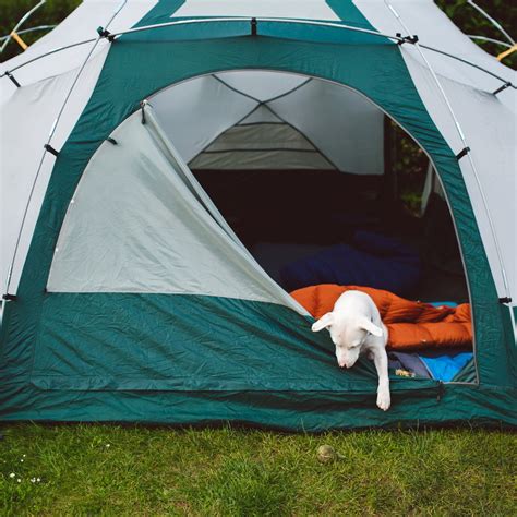 Top 77 Car Tents For Camping Update - Ecurrencythailand.com