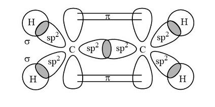 What is the orbital hybridization of the carbon atoms in ethylene (C2H4 ...