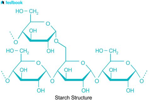 Difference Between Starch and Cellulose: Comparison & Meaning